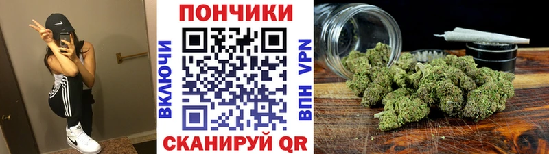 Виды наркоты Петрозаводск Марихуана  Cocaine  ГАШ  АМФЕТАМИН  Меф  Alpha-PVP 