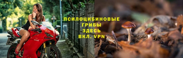 a pvp Алексеевка