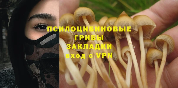 a pvp Алексеевка