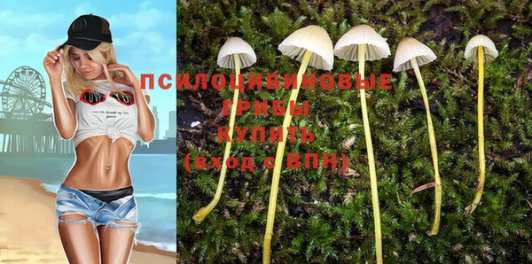 a pvp Алексеевка