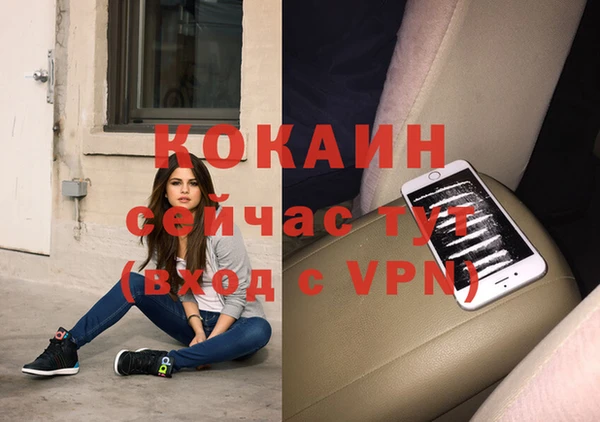 apvp Алексин