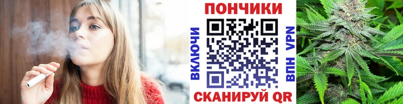 Шишки марихуана марихуана  Петрозаводск 